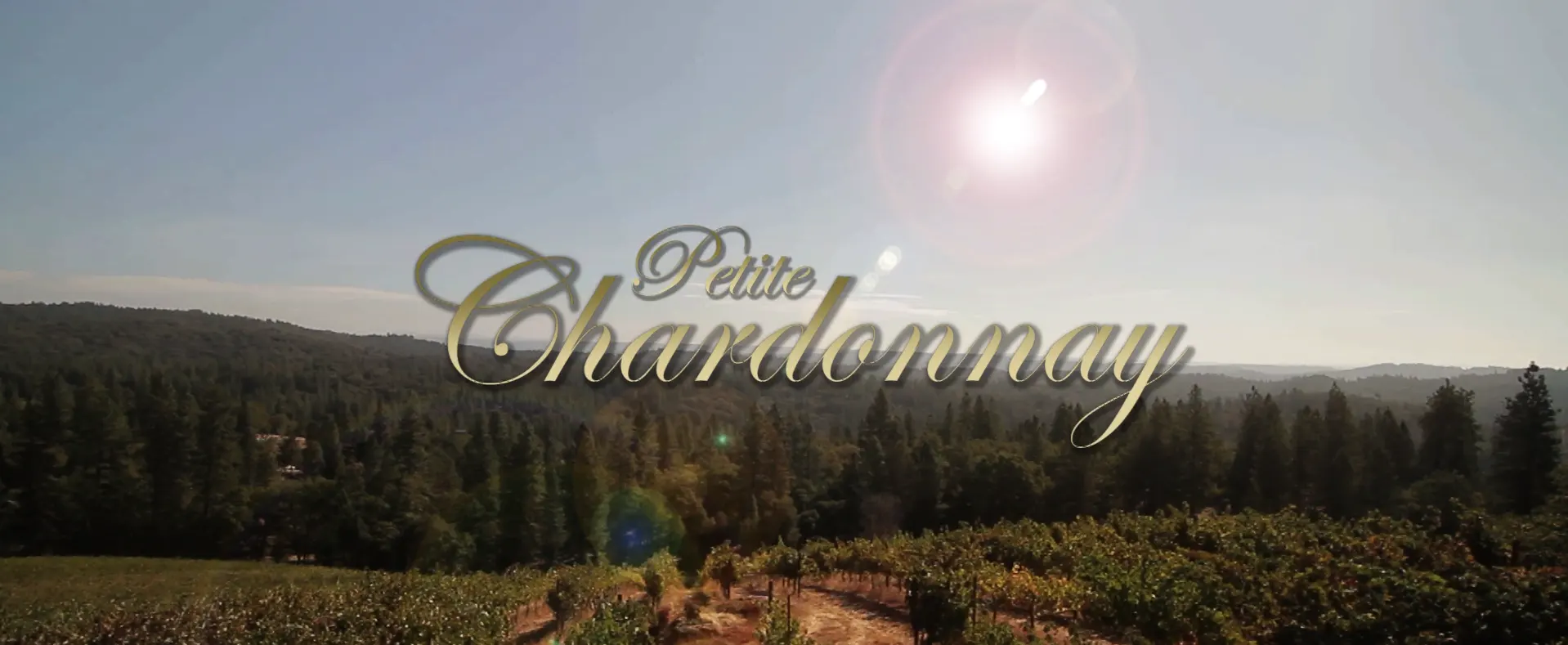 Petite Chardonnay by Gerald Marint Davenport & Aria Pictures